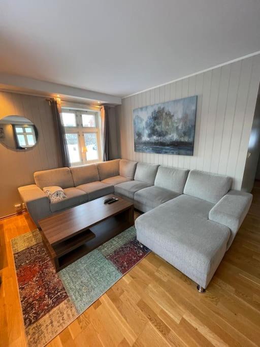Skjomtind - Modern Apartment With Free Parking ナルヴィク エクステリア 写真
