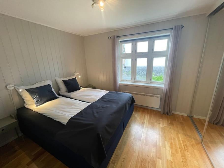 Skjomtind - Modern Apartment With Free Parking ナルヴィク エクステリア 写真
